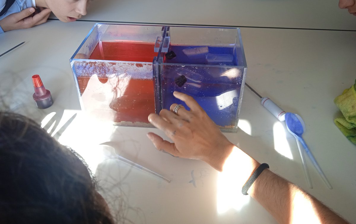 ColArte en Madrid tweet media