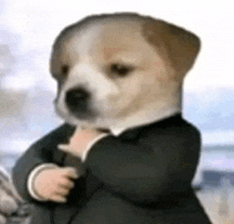 Clocktoss tweet media