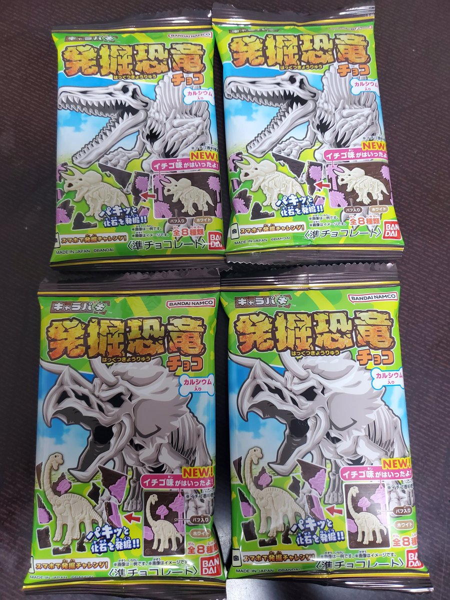 家でも恐竜の時間😮😮😮