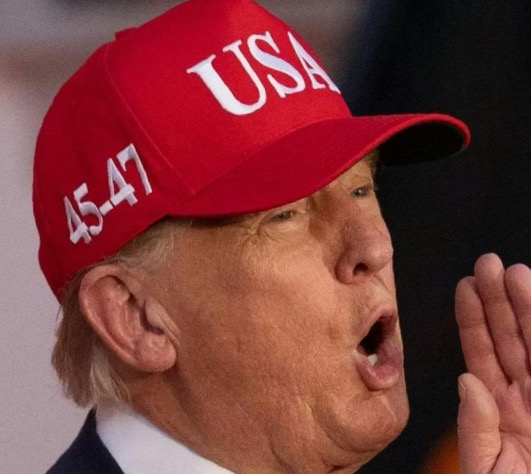 Eugene Vindman tweet media