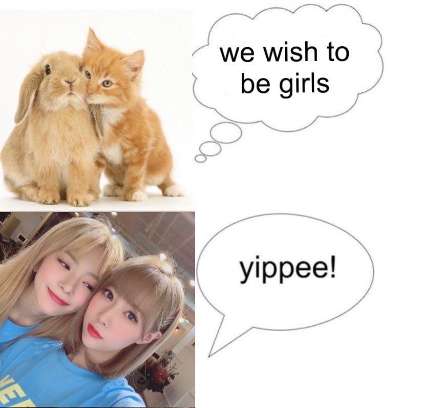 🐰🐱

#Dreamcatcher #드림캐쳐 #JIU #지유 #HANDONG #한동