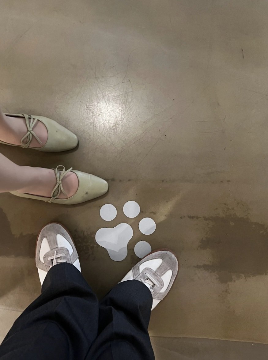 pwkv3s's tweet photo. 나랑 내남친 발밑으로 꿇어
웅웅 도태남들 그대로 자지갑이나 벌려 🥰

#핀돔 #상납 #호구 #자지갑 https://t.co/s0yU8Olksg