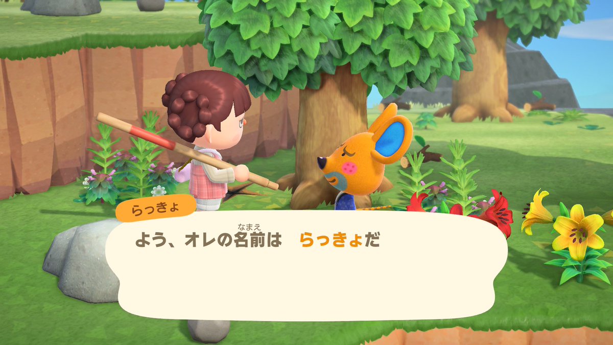 おかか tweet media