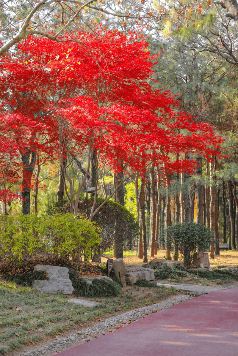 Luke Srsen tweet media