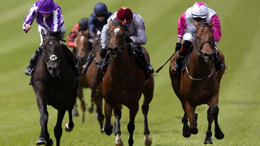 RacingPost's tweet photo. THE FLAT IS BACK

Here are some key horses, jockeys and trainers to note for 2026 as the Irish turf season kicks off 💥