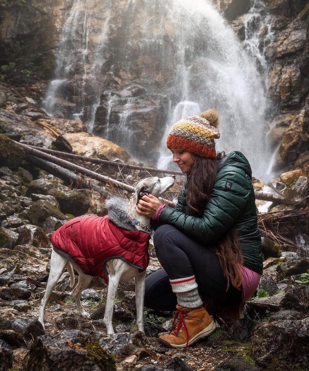 SarahLyndsay tweet media