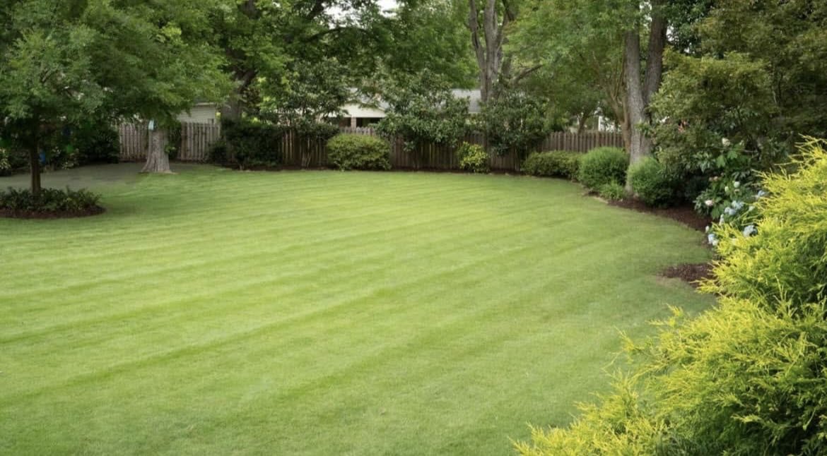 Modern Turf HQ tweet media