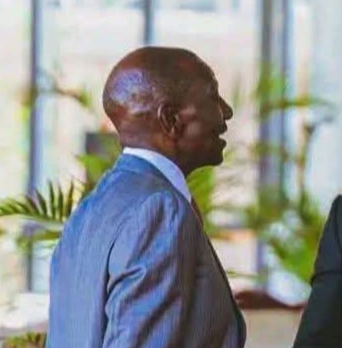 DP 🇰🇪 tweet media