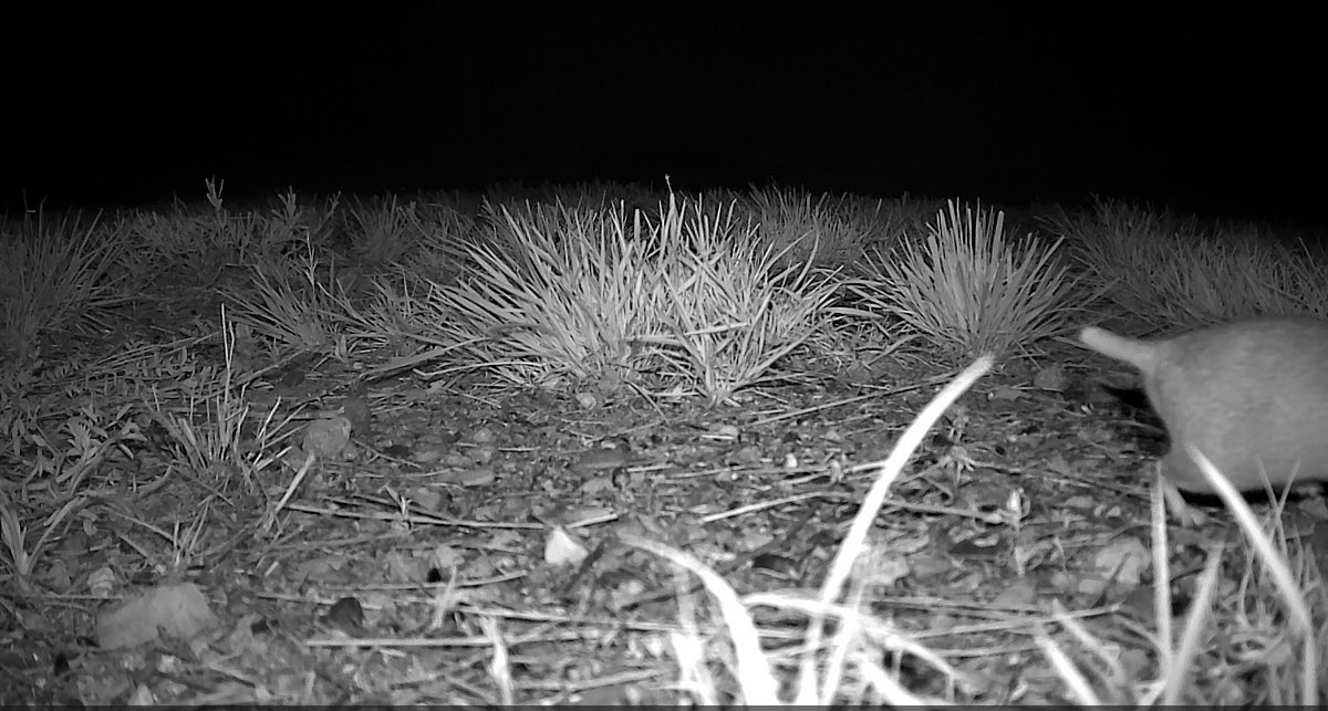 YouLookLikeAMom tweet media