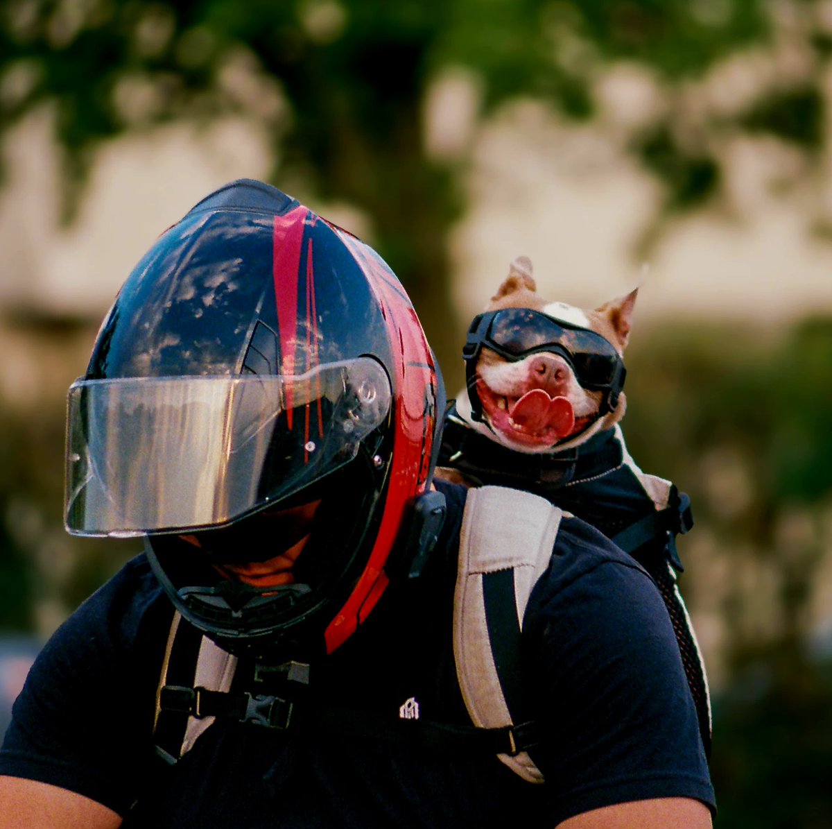 Роберт tweet media