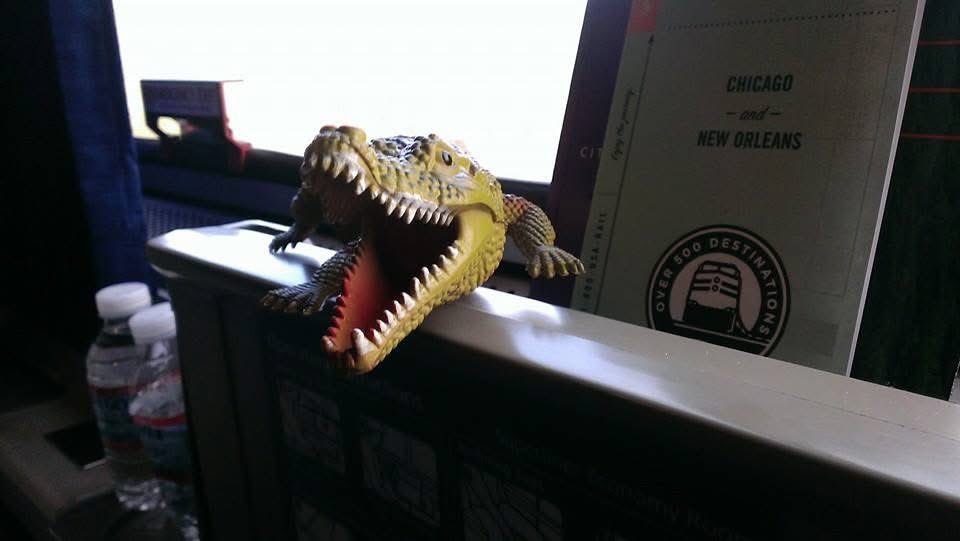 surely goodness tweet media