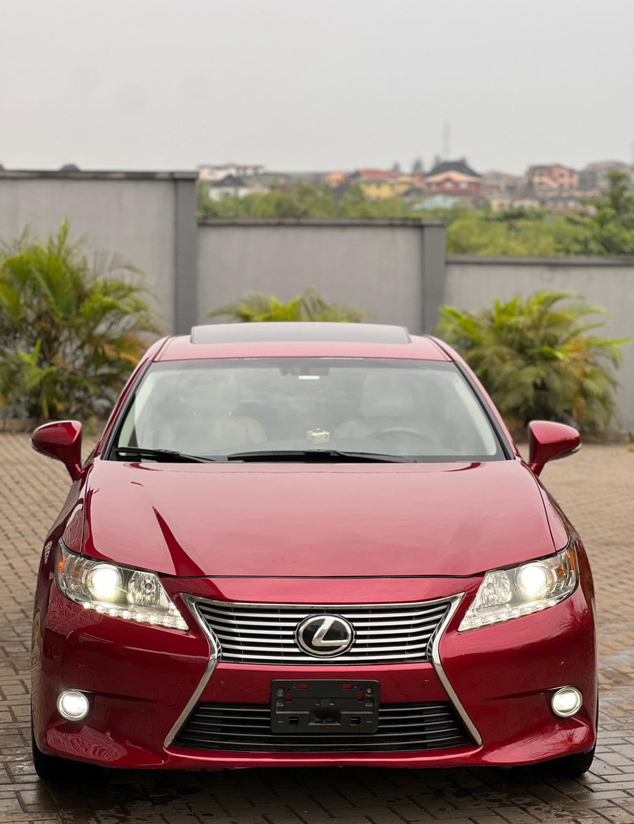 OWELLE🦅 tweet media