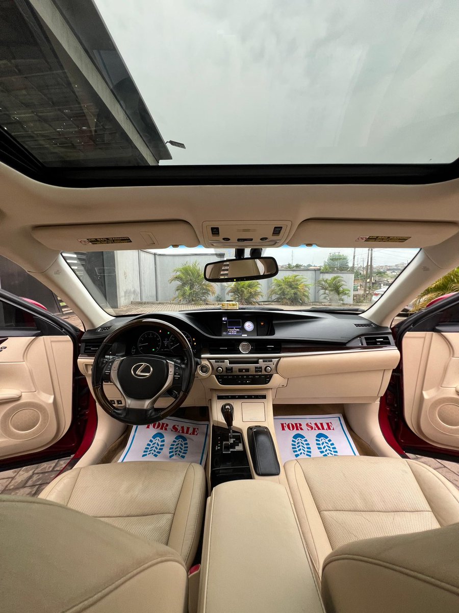 OWELLE🦅 tweet media