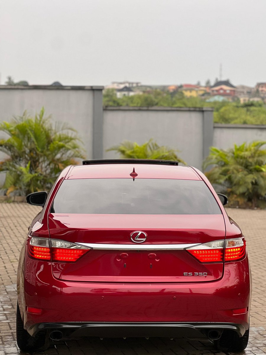 OWELLE🦅 tweet media