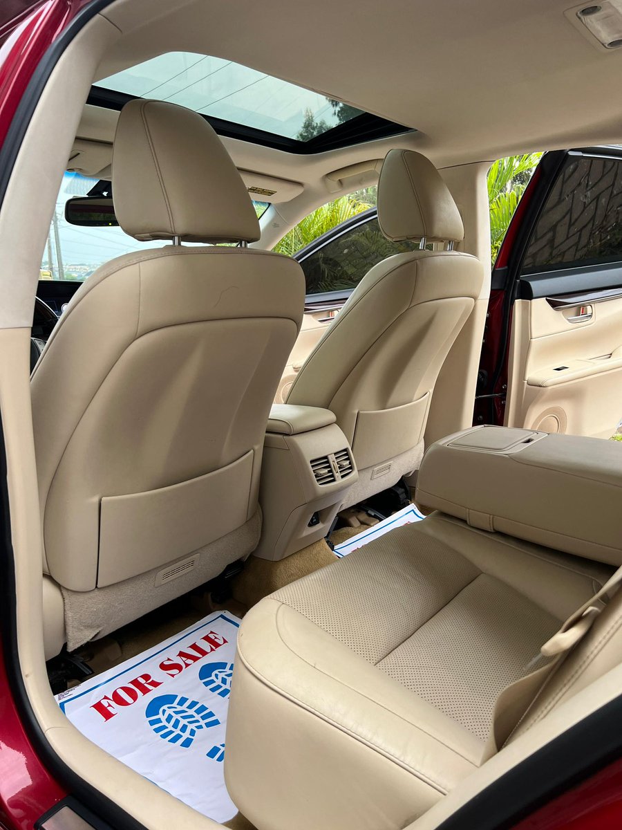 OWELLE🦅 tweet media