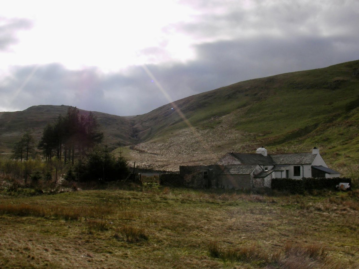 Terry Abraham tweet media