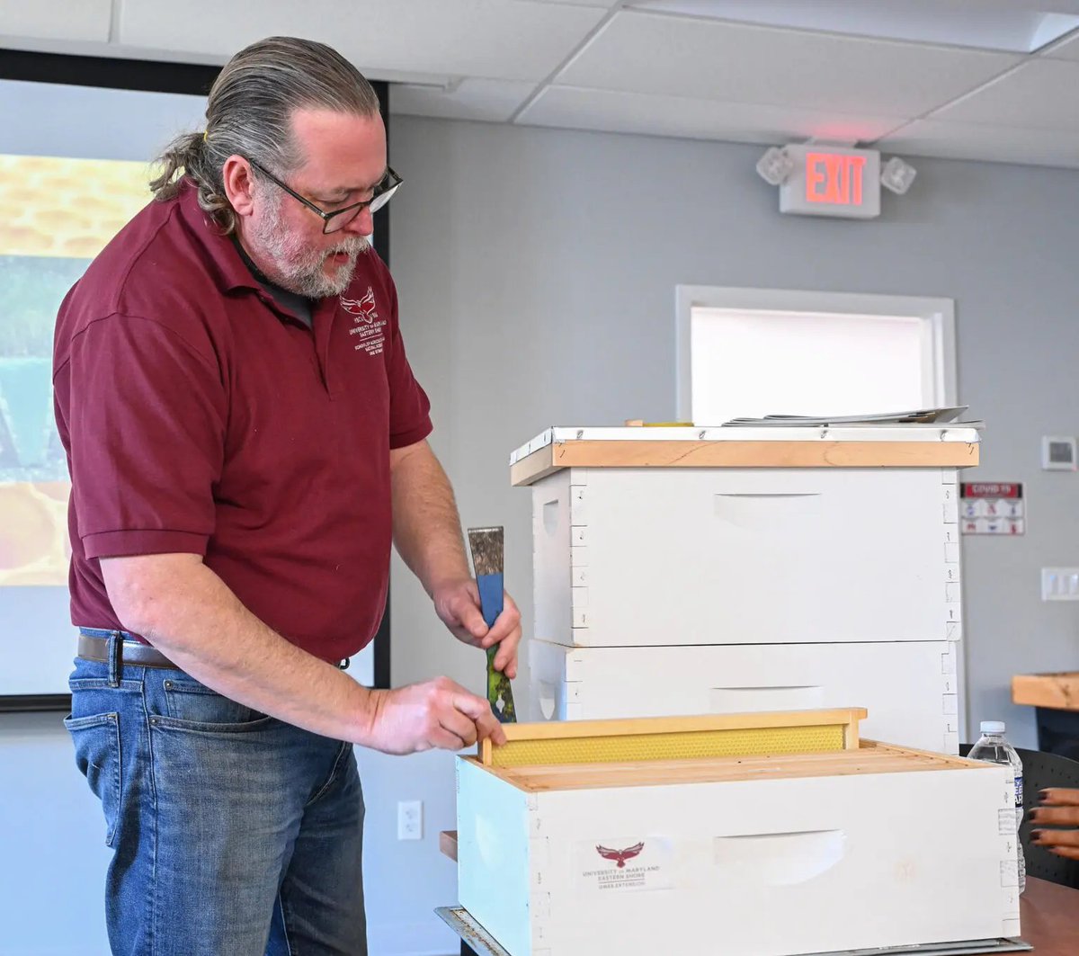 umesextension tweet media