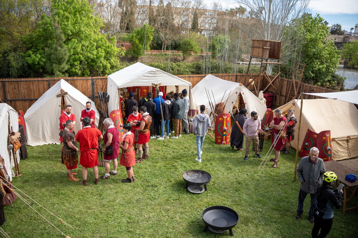Ayuntamiento de Mérida tweet media