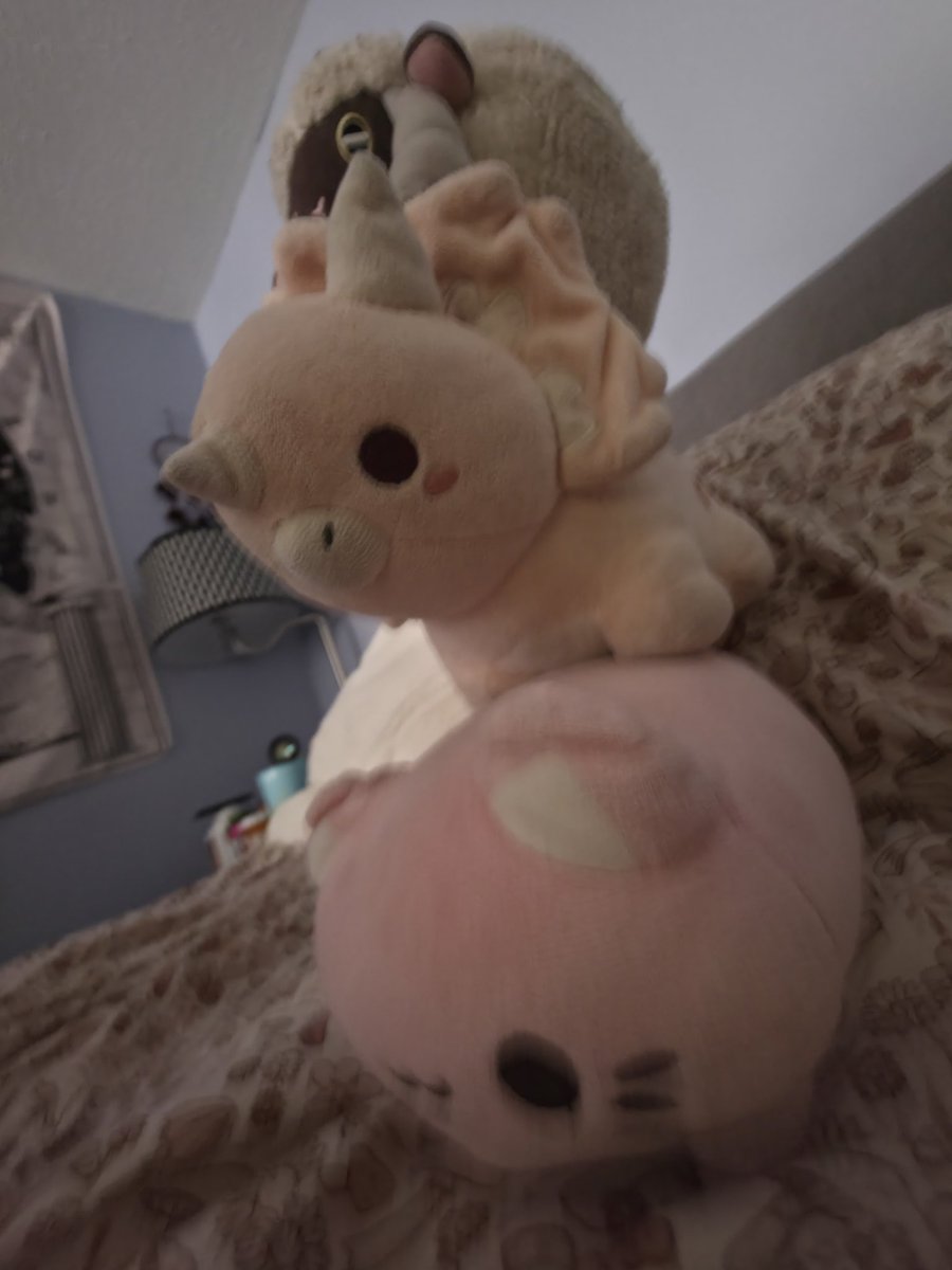 winter 🏳️‍⚧️ tweet media