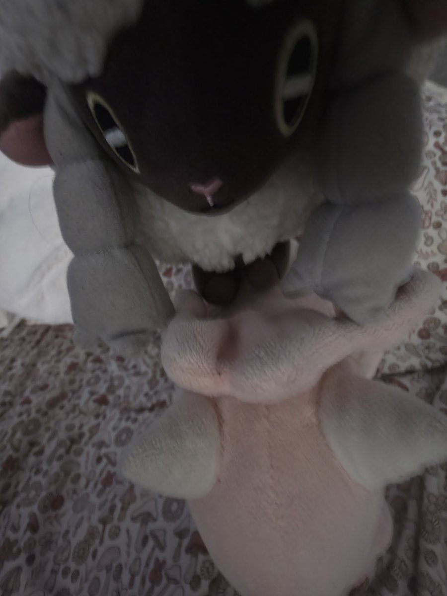 winter 🏳️‍⚧️ tweet media