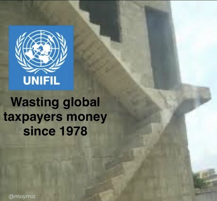 Moose 🫎 tweet media