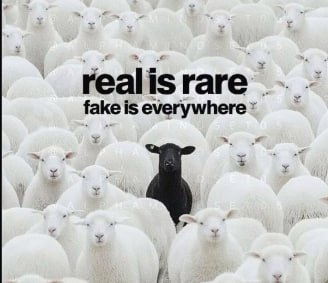 InYourDreams tweet media