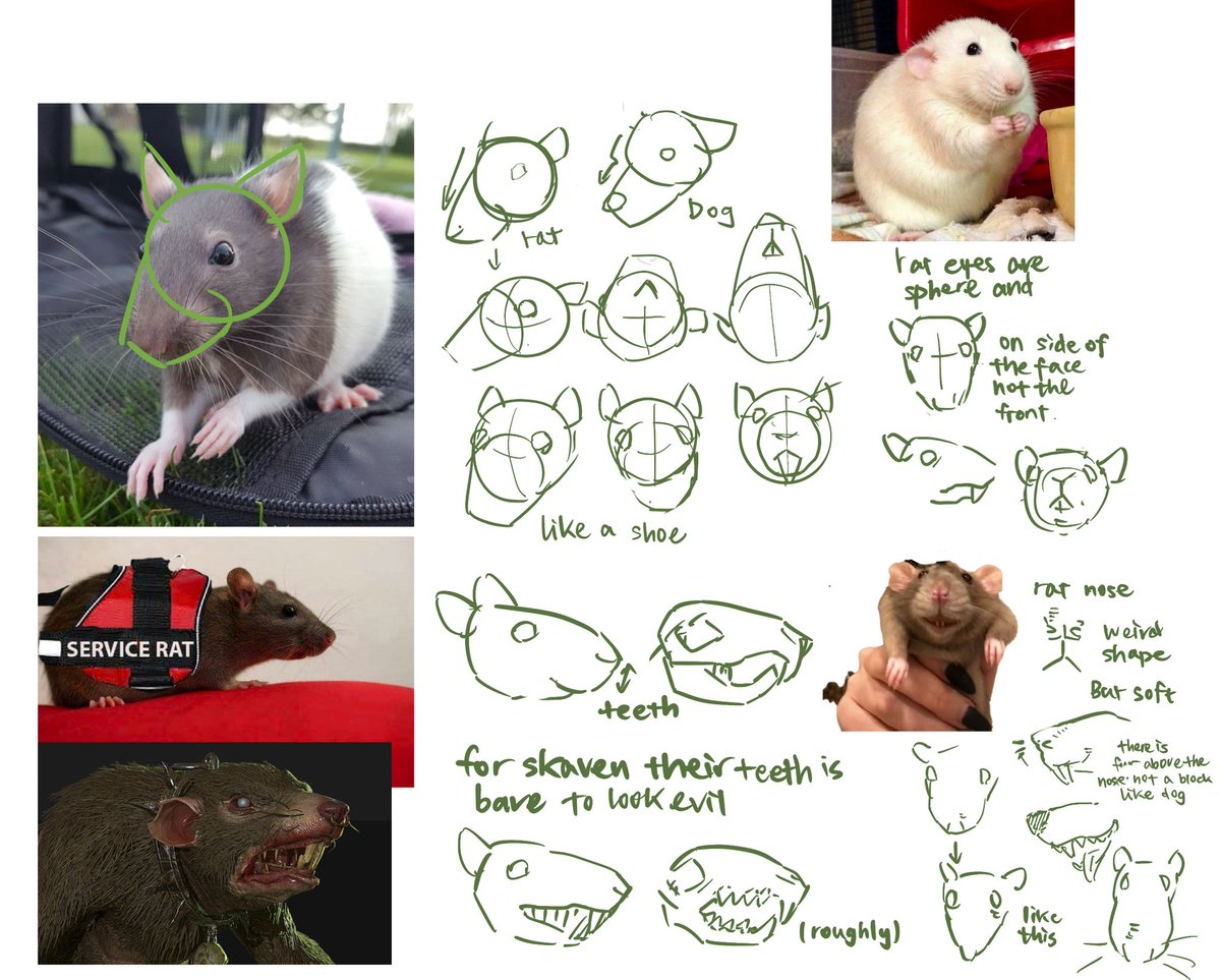 鹹水🌊 tweet media