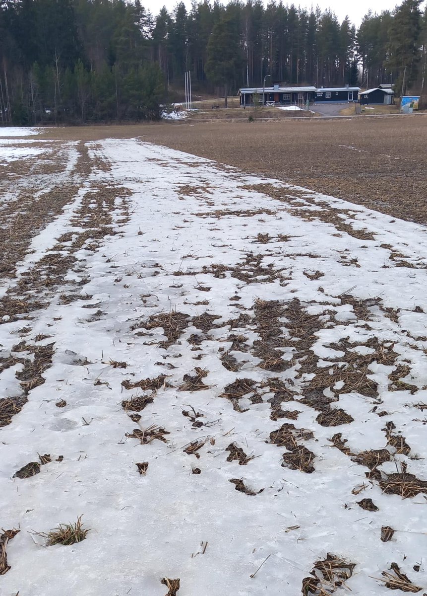 Ilkka Malmi tweet media