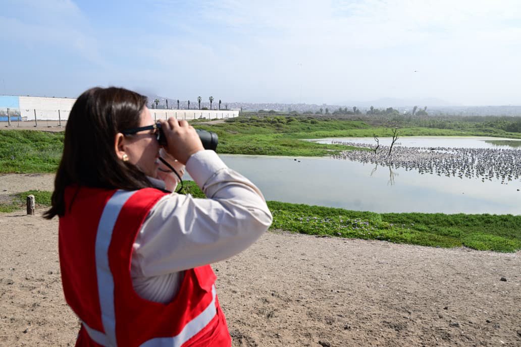 Ministerio del Ambiente 🇵🇪♻️ tweet media