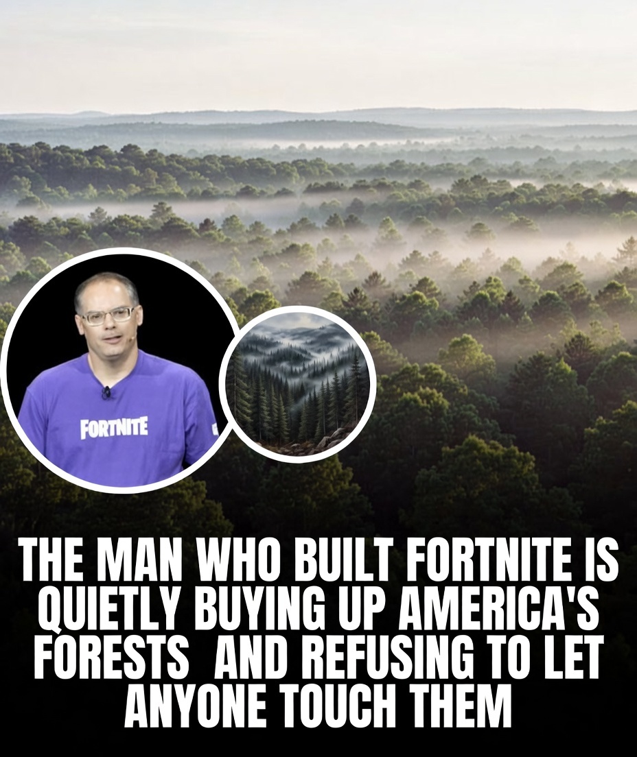 Tim Sweeney has been quietly purchasing large tracts of forested land in the United States—primarily in North Carolina—for conservation purposes, with the explicit goal of protecting them from development and ensuring they remain untouched