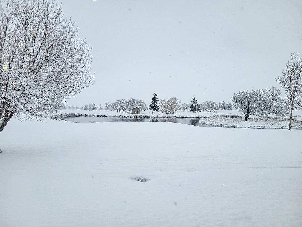 Steve Link tweet media