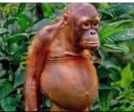 Zapiro AV Tech tweet media