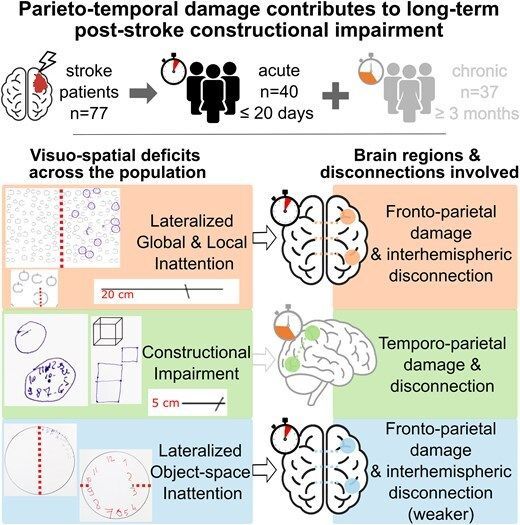 @BrainComms tweet media