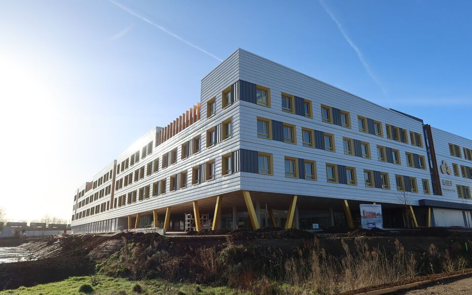 ZeGreenWeb tweet media