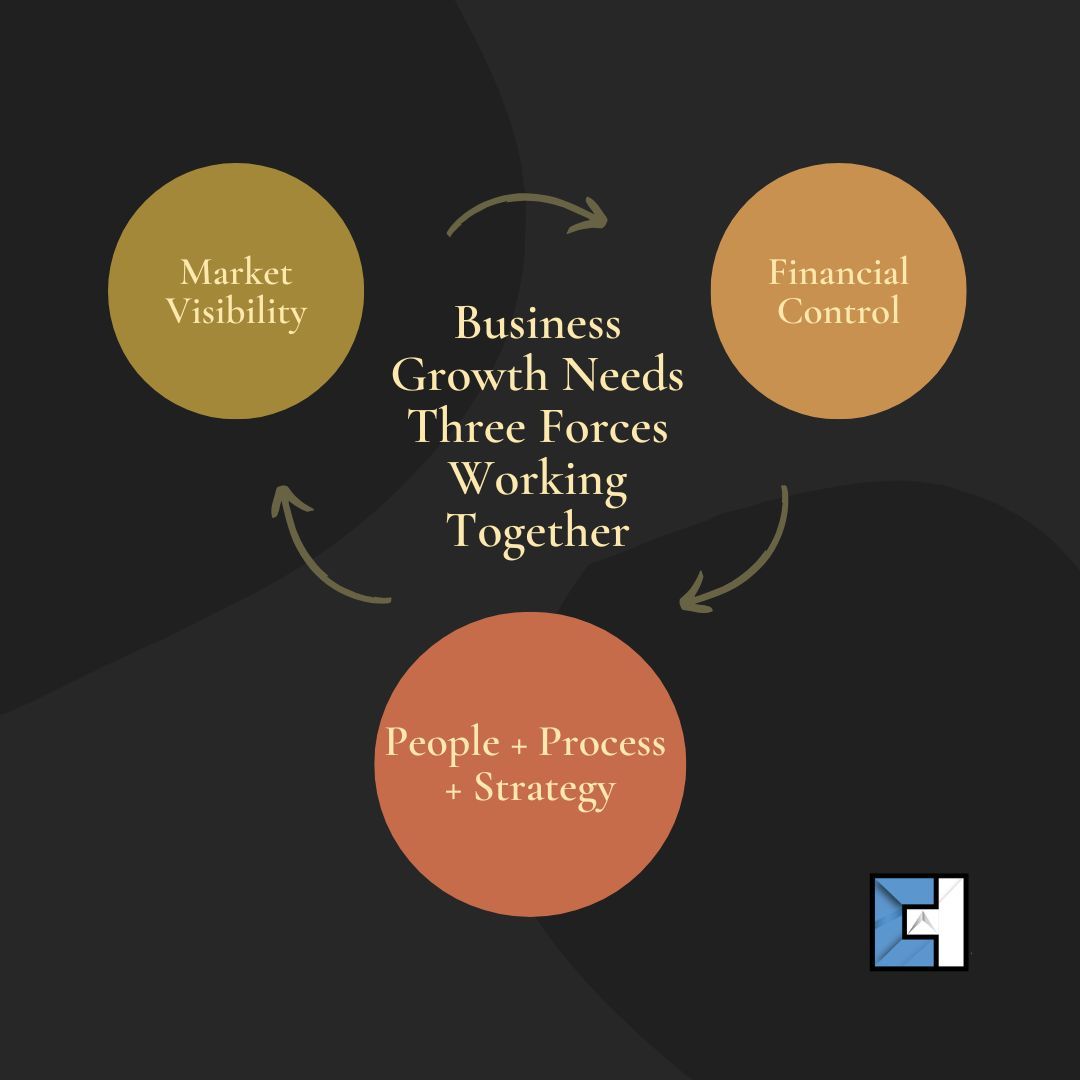 Sustainable growth isn’t just sales. It needs strong people &amp; processes, clear financial control, and market visibility. Weakness in one slows growth. Which matters most for your business right now? Comment below 👇

👉 Market Visibility
👉 Financial Control
👉 People &amp; Process