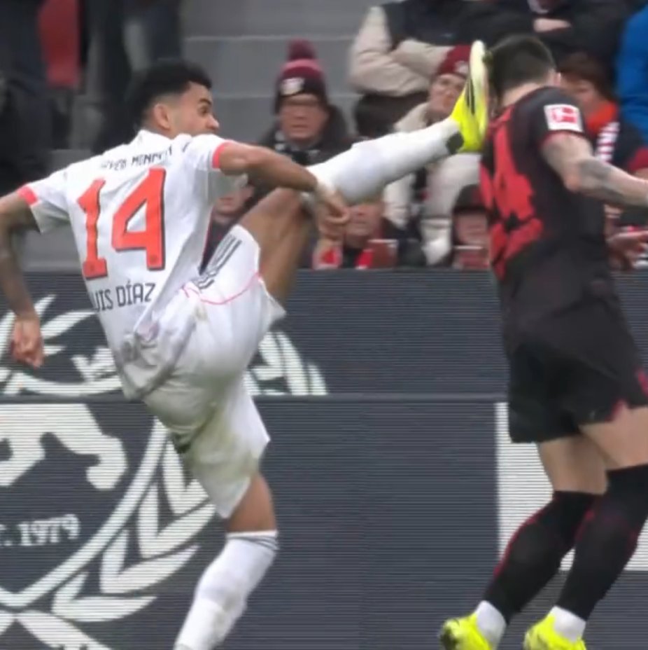 XaNc1orX tweet media