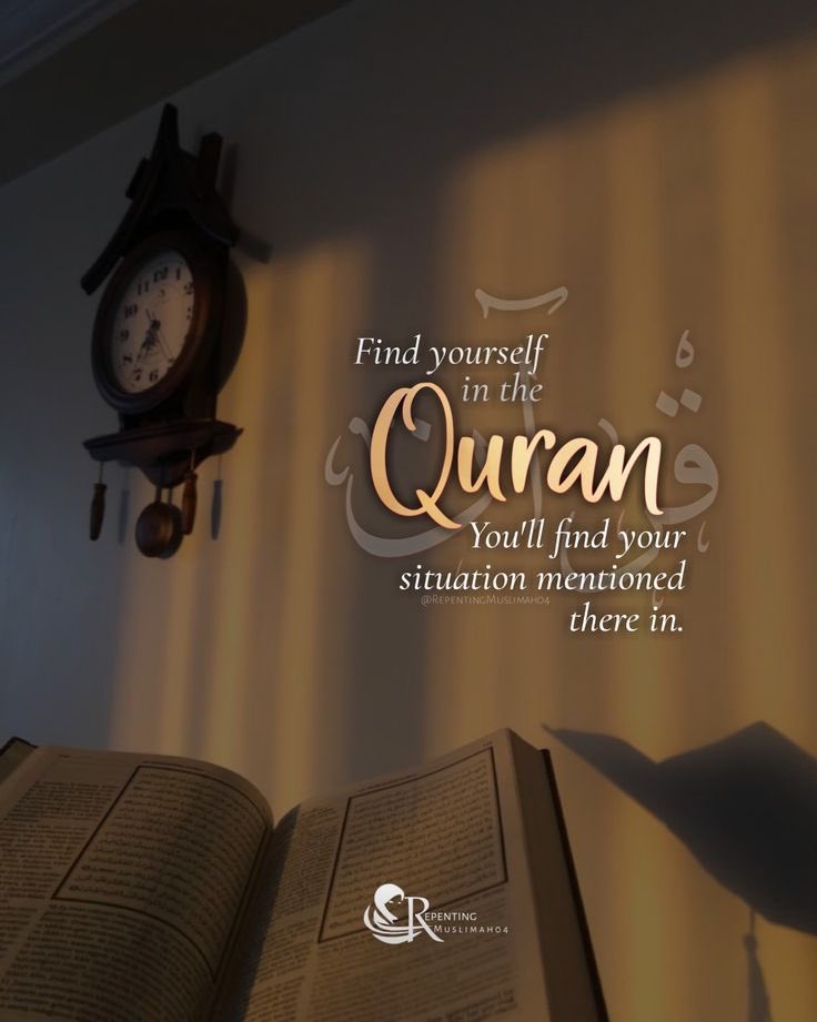 Anam Kanwal tweet media