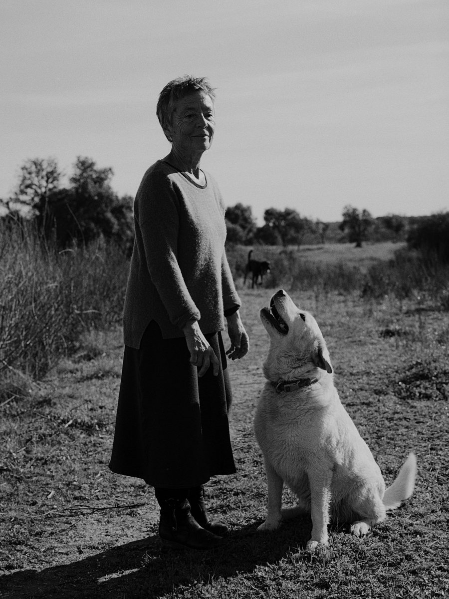 Maria João Pires tweet media