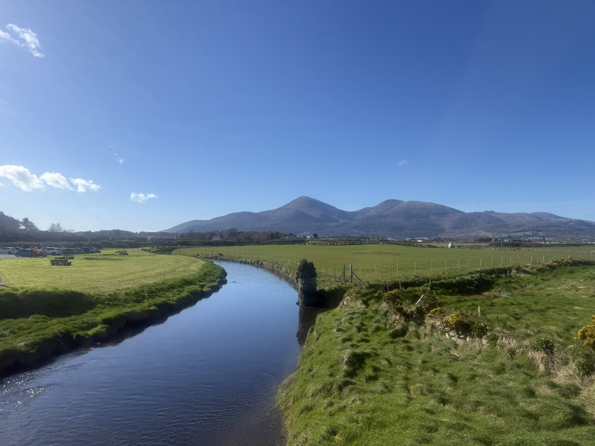 Steven morgan tweet media