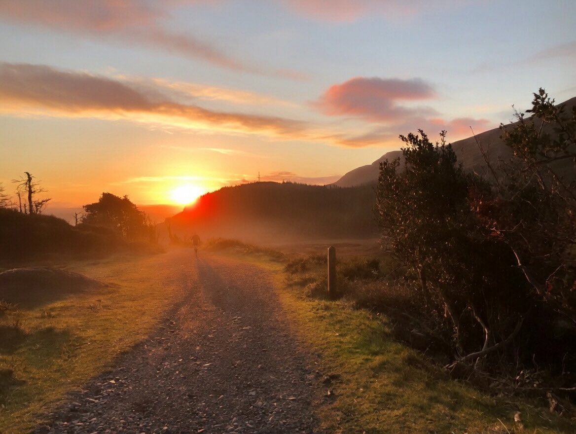 Steven morgan tweet media