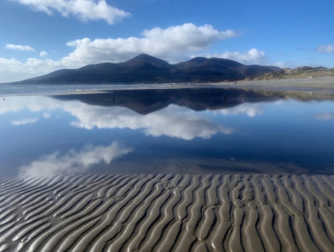 Steven morgan tweet media