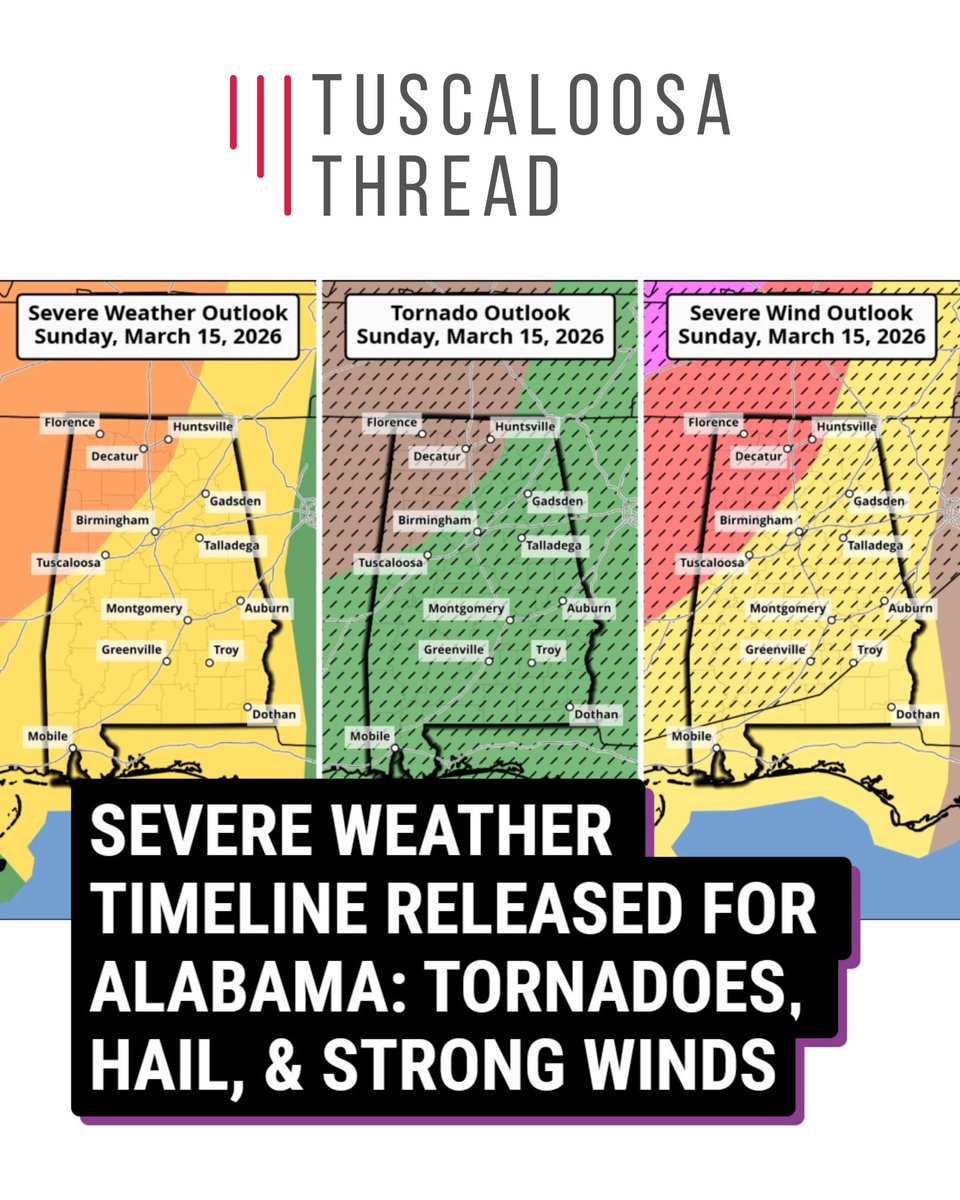 Tuscaloosa Thread tweet media