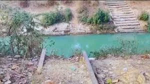 Rodeshow tweet media