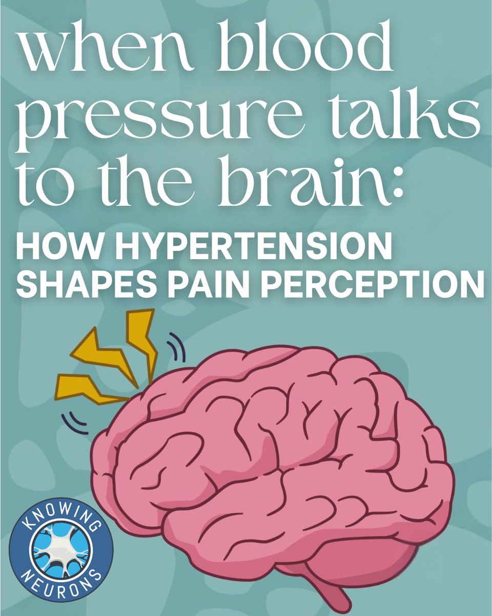 Knowing Neurons tweet media