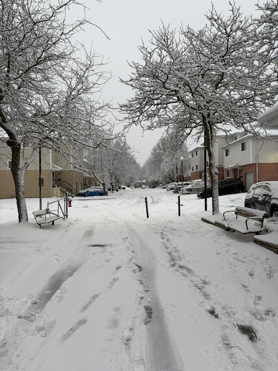 Sammy Sapphire | 🇨🇦🇨🇦🇨🇦 tweet media