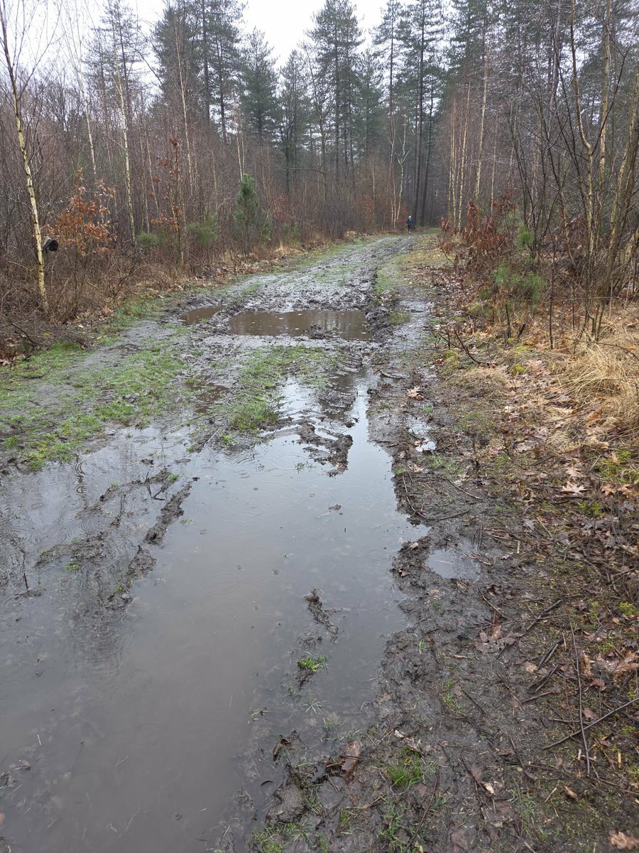 Bobke125 tweet media