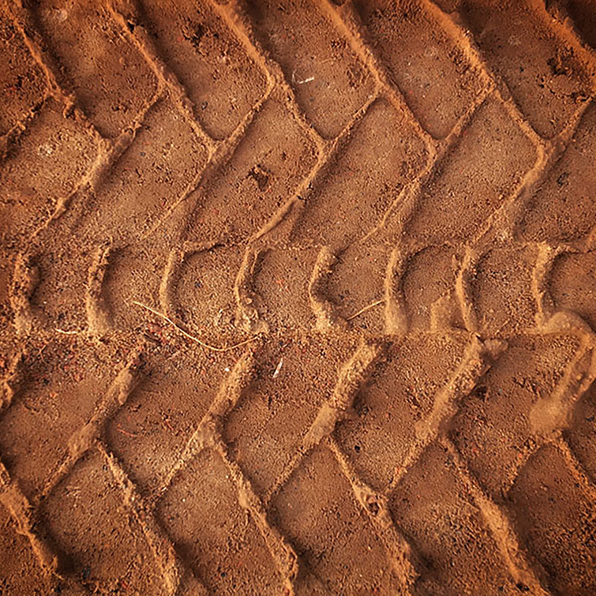 Foremost Insurance tweet media