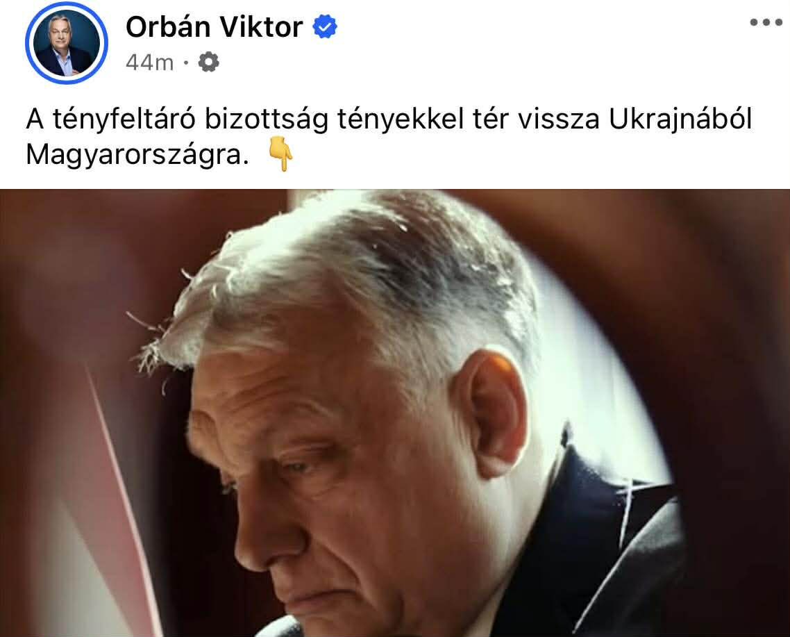 Daróczi István tweet media