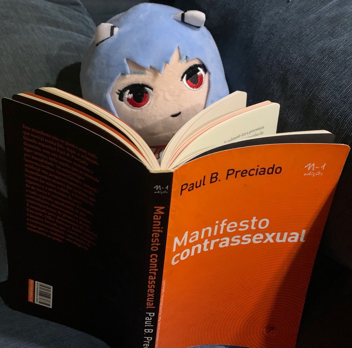 🎭 + 🦜= ᴿᵉⁱ tweet media