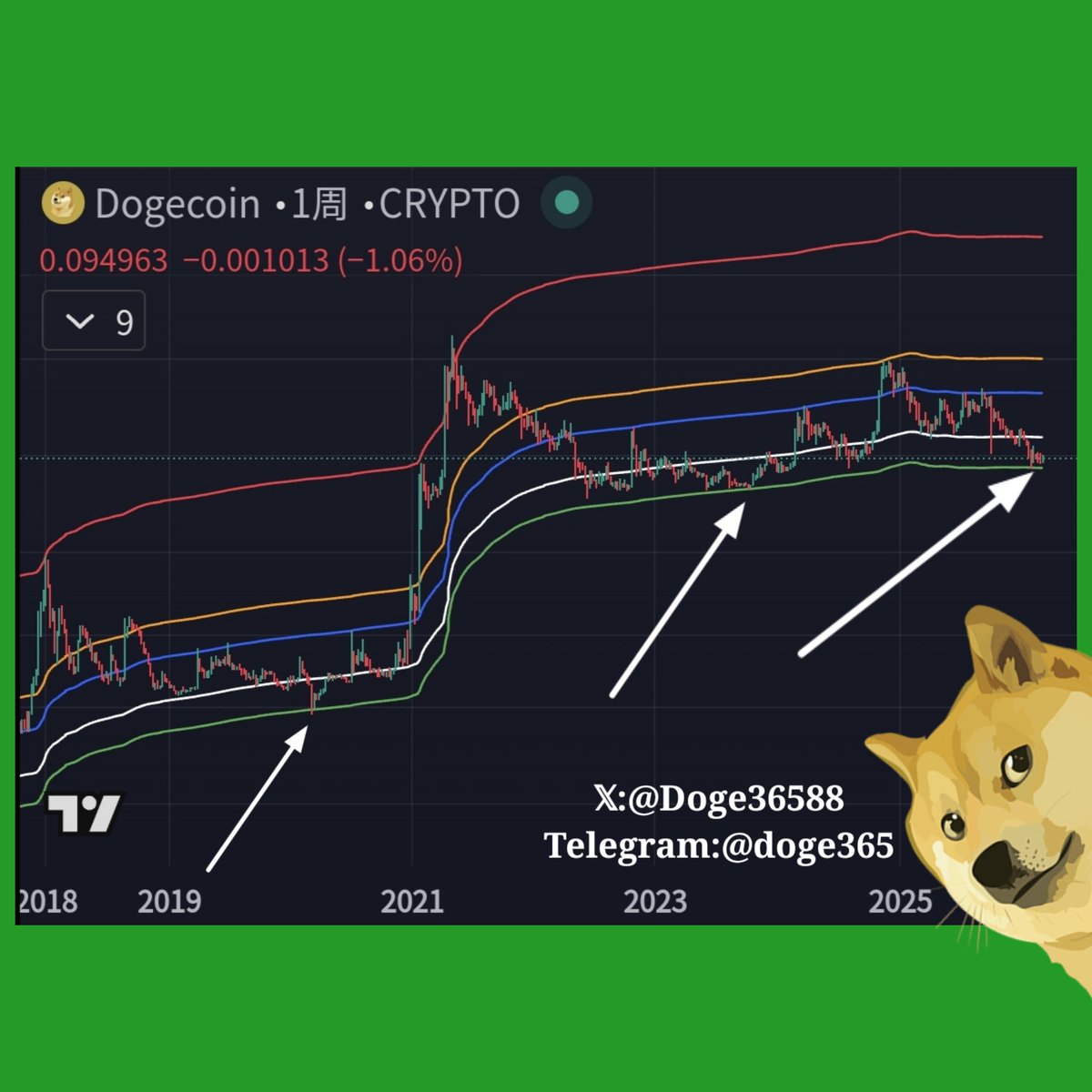 韭菜君LeekJun tweet media